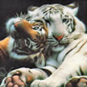 Meet your Posher, Cynthia